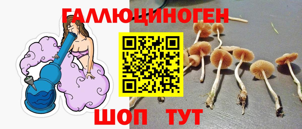 Галлюциногенные грибы мицелий  Вход с VPN  где продают   Арзамас  Псилоцибиновые грибы GOLDEN TEACHER 